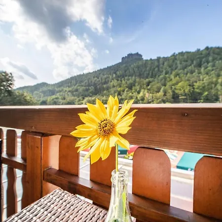 Bomaetscher Pensión Königstein